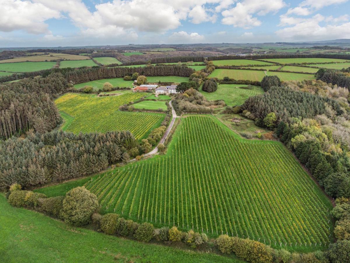 Tregoninny Vineyard And Woodland Farmhouse Truro Exterior photo