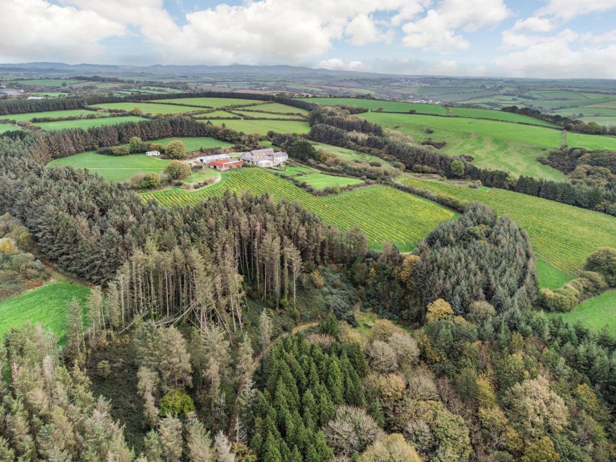 Tregoninny Vineyard And Woodland Farmhouse Truro Exterior photo